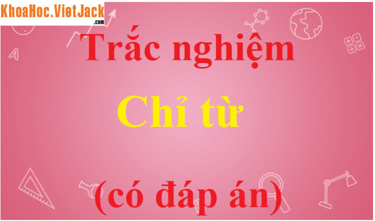 Chức vụ ngữ pháp là gì? 
